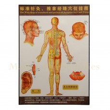 35201 Body Map of Acupuncture Points