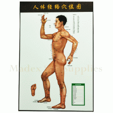 35202 Body Map of Acupuncture Points Sideways