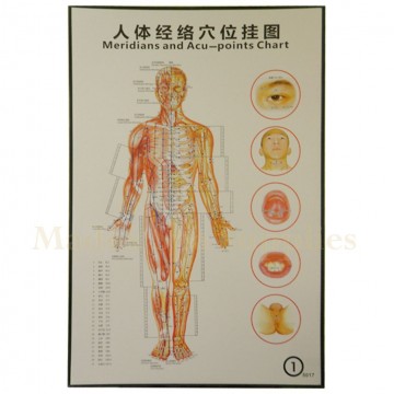 35211 Body Meridians and Acupuncture Points Chart 1