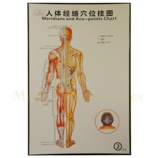 35212 Body Meridians and Acupuncture Points Chart 2