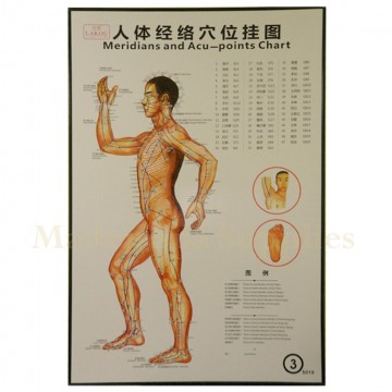 35213 Body Meridians and Acupuncture Points Chart 3