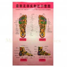 35214 The New Foot Reflective Zones Chart