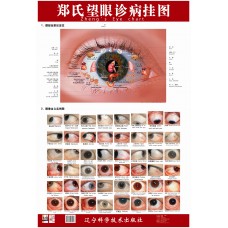AM117 Eye Chart