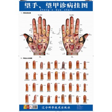 AM118 Hands & Nails Chart